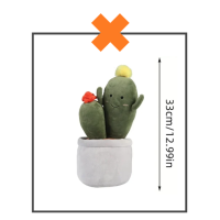 Kawaii knuffel plantje cactus naturel